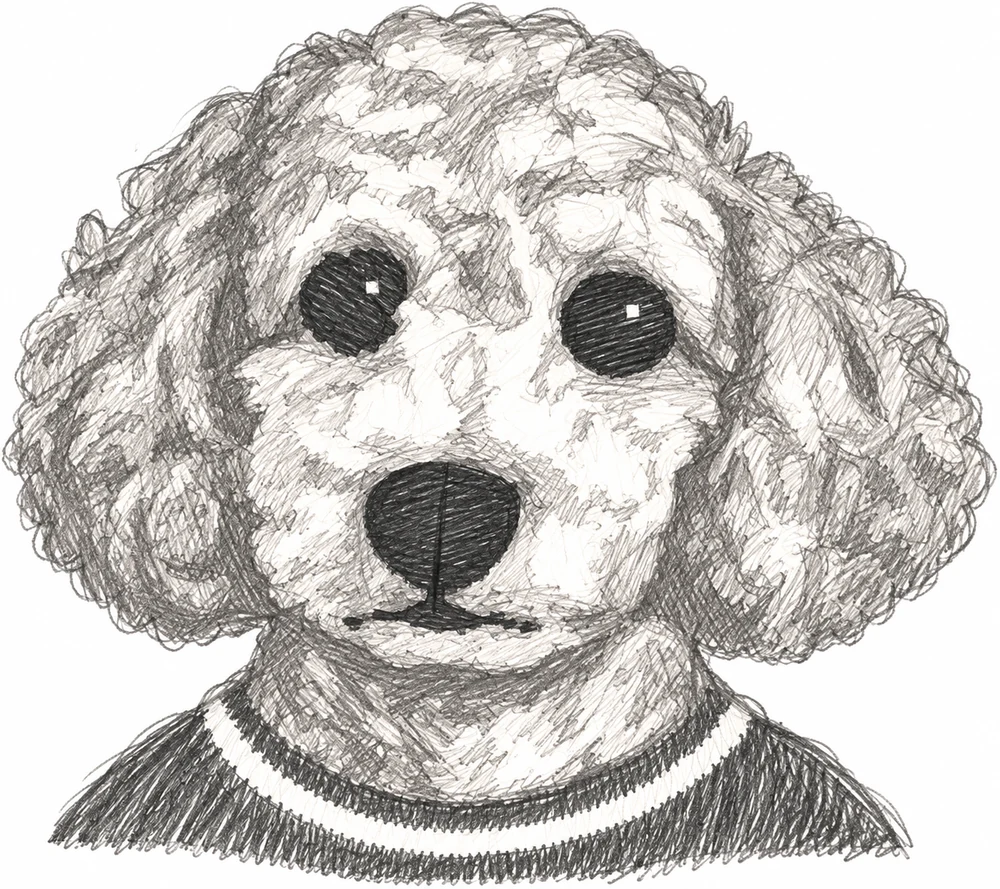 Claudette, a shaded pencil study