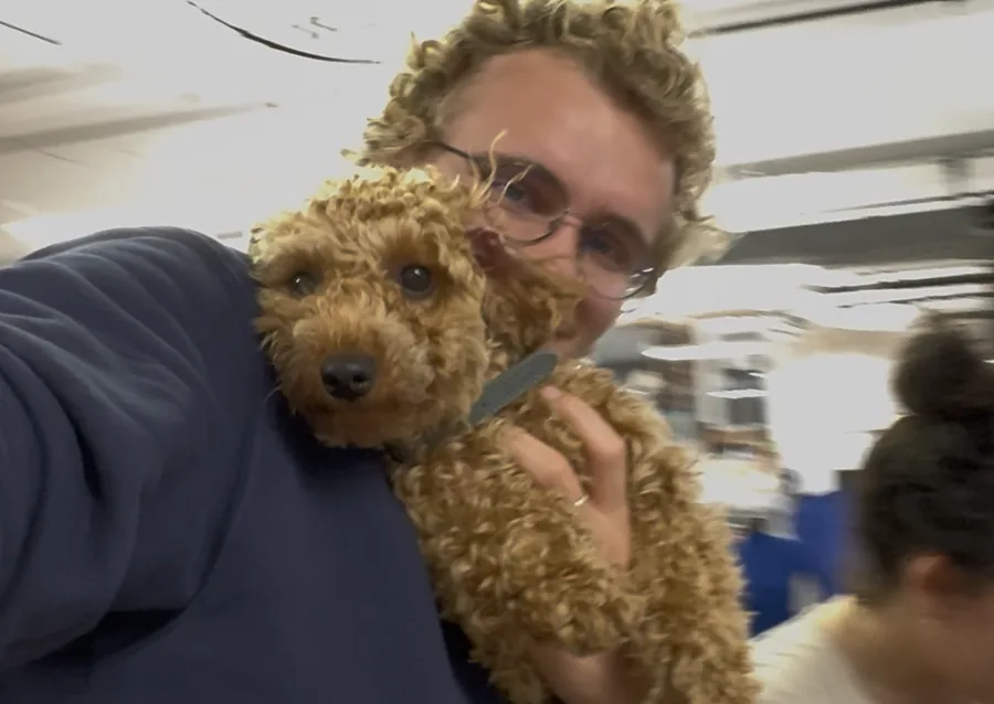 Claudette, a curly apricot dog