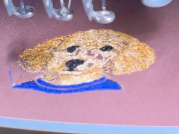 Close-up of Claudette's stitched emblem